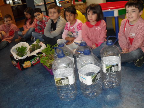 Planificação das ações a desenvolver 

Escolher as plantas que as crianças trouxeram de casa para plantarmos na nossa horta.
