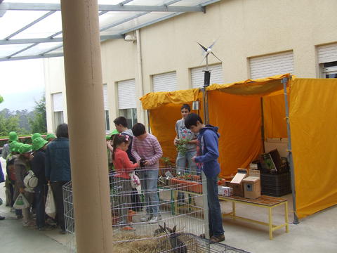 Exposição e venda das espécies reproduzidas pelos alunos no dia do Eco-escolas e na feira mensal da localidade. Vendem-se igualmente ninhos e comedouros artificiais para aves insectívoras (foto 1)