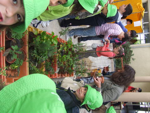 Exposição e venda das espécies reproduzidas pelos alunos no dia do Eco-escolas e na feira mensal da localidade. (foto 2)