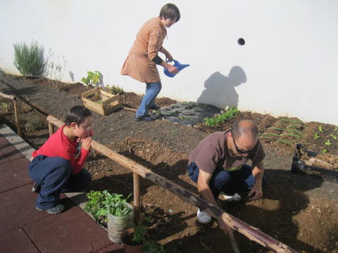 Seleção e plantação de sementes e plantas na horta - os alunos da Unidade Especializada participam na plantação das sementes na horta.
