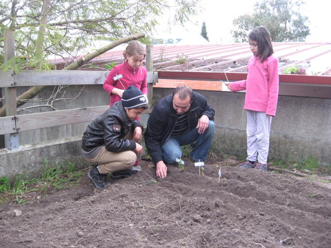 As famílias a plantar legumes.