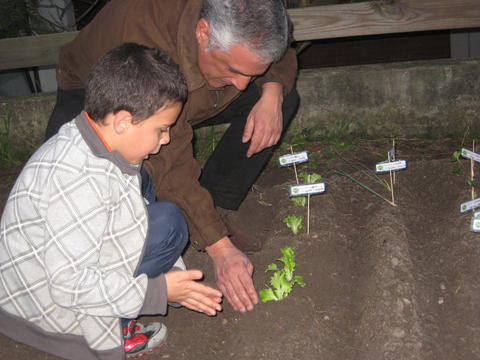As famílias a plantar legumes.