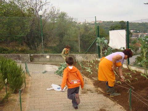Em Outubro, com a ajuda da D. Maria (funcionária da escola) e o avô Anselmo plantámos couve de corte, brócolos e couve de nabo.