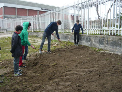 Os alunos cuidam da terra para procederem à adubagem e sementeira/plantio.