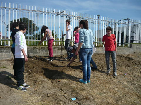 ALUNOS EM AÇÃO - Os alunos do 8º A, com a ajuda da professora Ana Lemos e da Assistente Operacional Dª Isabel, preparam o terreno para proceder à colocação das plantas.