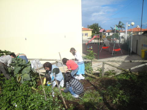 Preparação da horta: os alunos limparam o terreno.