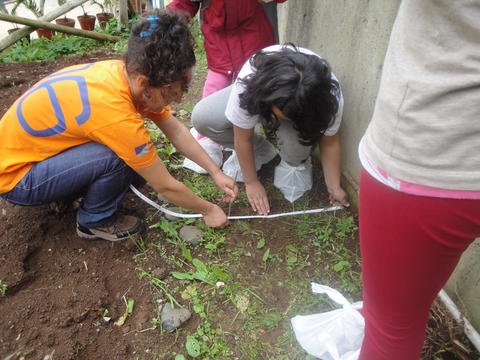 Preparação da horta: medição do terreno para a criação de canteiros .