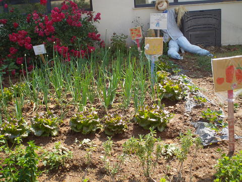 Pormenor da horta, com compostor, placas identificativas e ervas aromáticas.