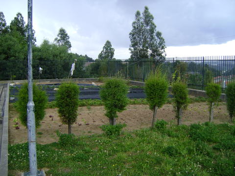 Vista geral da horta em abril de 2013