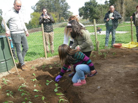 Construção da horta, com a orientação e participação de encarregados de Educação e família dos alunos, bem como da comunidade educativa. Todos trouxeram sementes e legumes para plantar e semear.