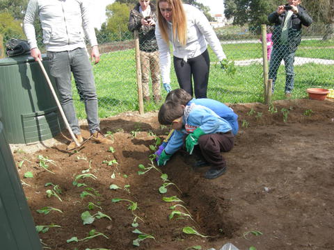 Construção da horta, com a orientação e participação de encarregados de Educação e família dos alunos, bem como da comunidade educativa.