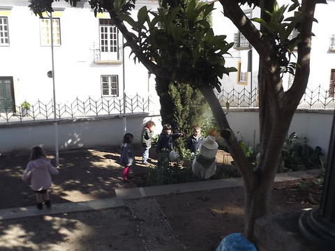 Aspeto geral do espaço da horta situada em pleno Centro Histórico da cidade de Évora, em espaço cedido pela autarquia