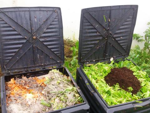 Compostores da ESSM com resíduos orgânicos do refeitório e da máquina de café e de ervas de jardim