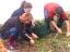 Preparação do solo -  remoção de vegetação espontânea pelo 11ºM em atividade curricular