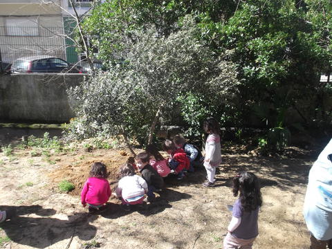Dia da Árvore - 21 de Março
Fomos ao nosso jardim plantar umas lindas Oliveiras.