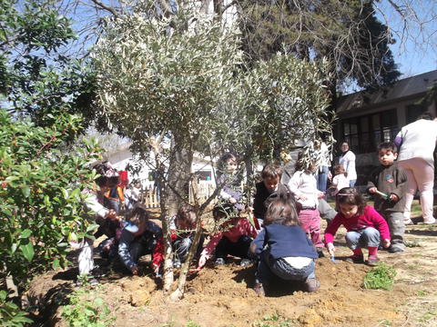 Dia da Árvore - 21 de Março
Fomos ao nosso jardim plantar umas lindas Oliveiras.