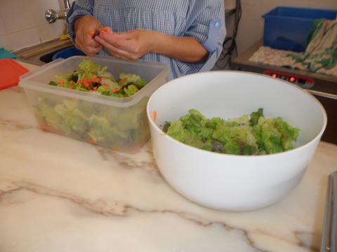 Salada da horta – Após a colheita, preparou-se a salada para degustar, ao almoço, na cantina.