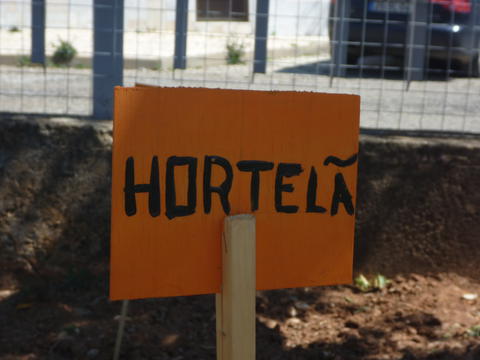 Hortelã
