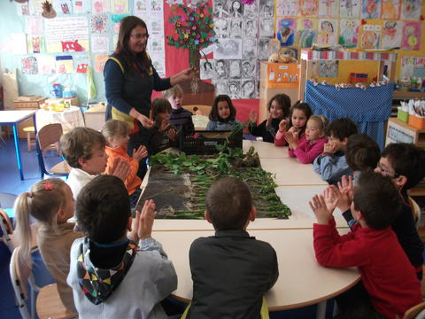 Recolha de plantas para semear trazidas pelos alunos do jardim de infância