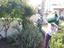 1º Sessão da Horta do Gil(inho) (Fotografia 8)
Imagem da sessão de rega da horta. Neste caso das plantas / ervas aromáticas (alfazema e alecrim) existentes no espaço da horta - efetuada pelos alunos do 1ºA.
