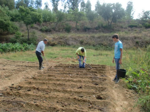 Preparação dos terrenos por alunos da turma do 6º ano com supervisão do funcionário da escola.