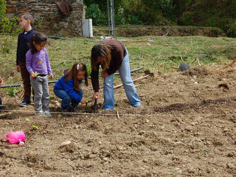 Alunos do pré-escolar, acompanhados pela educadora, a plantarem as primeiras alfaces.