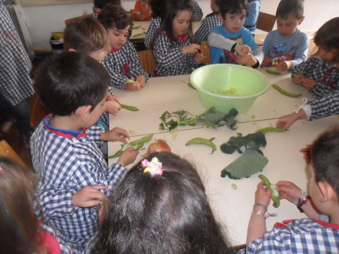 Preparação dos legumes pelas crianças.