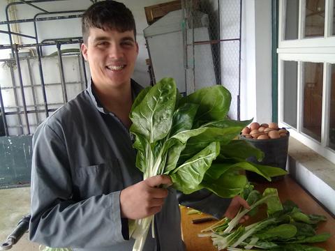Legumes destinados à cozinha da Escola Profissional da Praia da Vitória