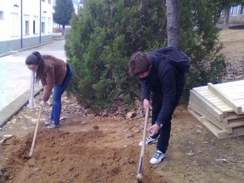 Preparação do terreno para a construção da nossa composteira