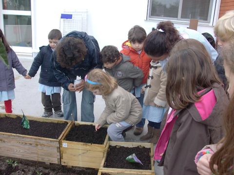 Também semeamos cebolinho.