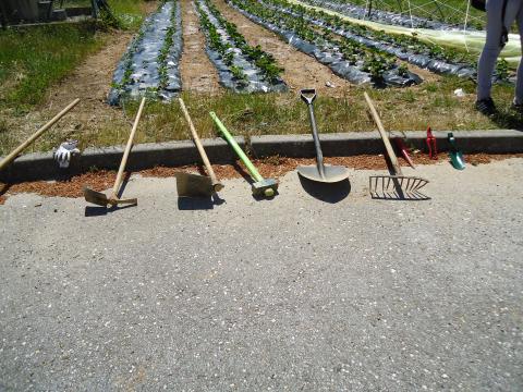 Alguns instrumentos agrícolas usados na nossa horta