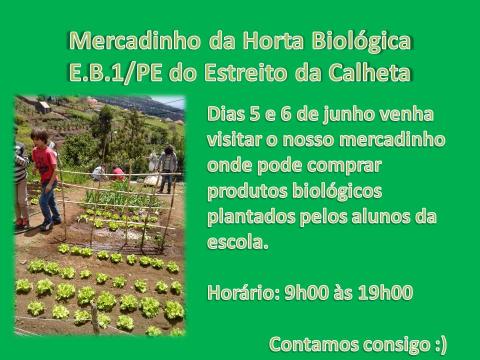 Convite para comunidade educativa (dia do ambiente e venda de produtos da horta)