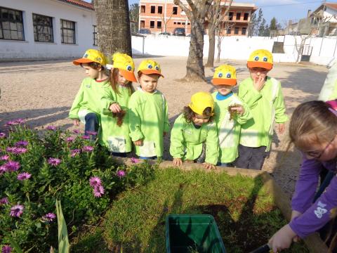 Início da limpeza da horta, pelas crianças do pré escolar e 1º Ciclo