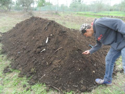 Fertilização do solo