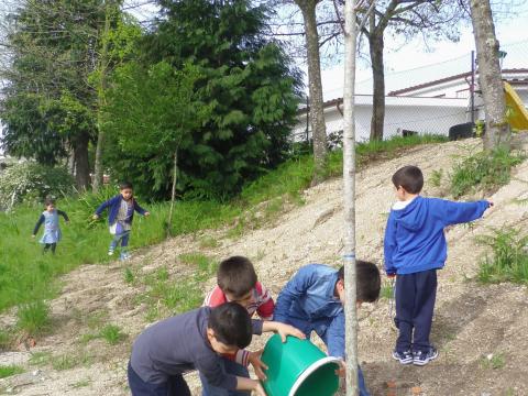 No dia 21 de Março comemoramos o dia da árvore. Os senhores da Junta de Freguesia plantaram uma Açer e nós regamos.