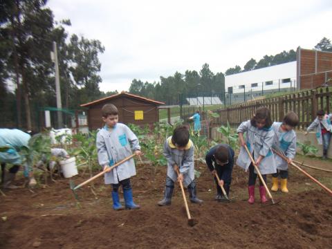 Preparamos a terra para semear favas, cebolas e alface. Também plantamos couves.