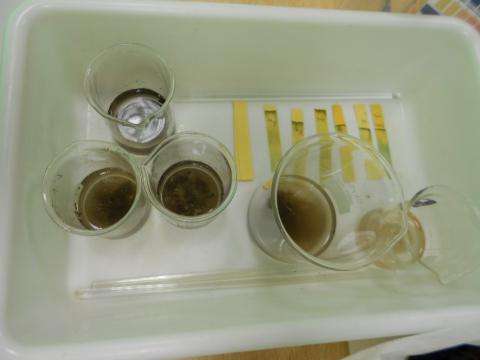 Análise em laboratório do pH do solo da Horta, análise biológica de amostras de solo e comparação com outros solos do terreno envolvente por uma das equipas de manutenção semanal (turma de secundário)