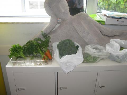 Pormenores do crescimento das plantas - venda de bróculos, favas, ervilhas, cenouras e salsa na sala dos professores