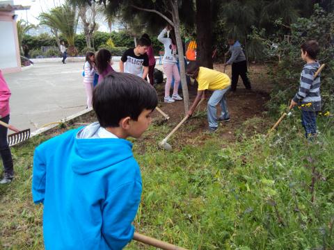 Limpeza da horta pelos alunos do 4º ano.