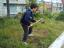 Limpeza da horta pelos alunos do 4º ano.