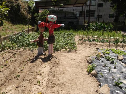 Amélia e o Gustavo a tomar conta da horta