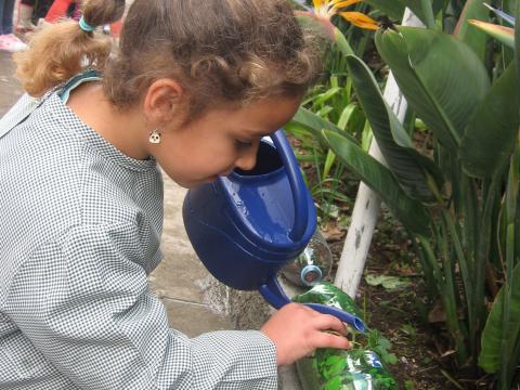 As crianças do Pré-Escolar adubaram os seus morangueiros.