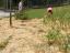 Aplicação da palha na horta para evitar evaporação da água e adubar o terreno - Permacultura