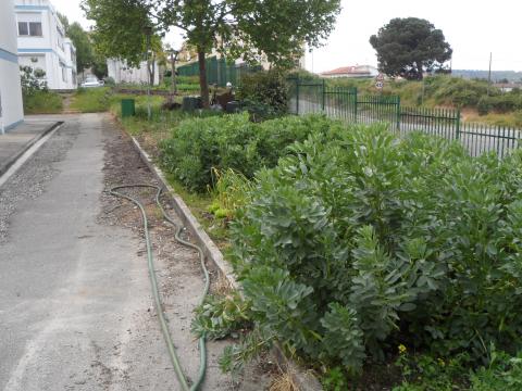 Plano geral da horta e centro de compostagem
a horta estende-se por  dois talhões, separados pelo centro de compostagem.