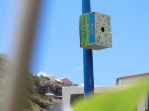 Habitat para pássaros, criado por alunos para a horta, através da reutilização de caixas de madeira.