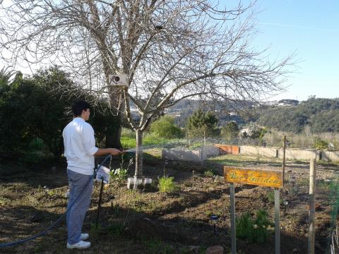 Rega do Bio Garden, quando regamos o bio garden o aroma das plantas espalha-se pelo ar :)