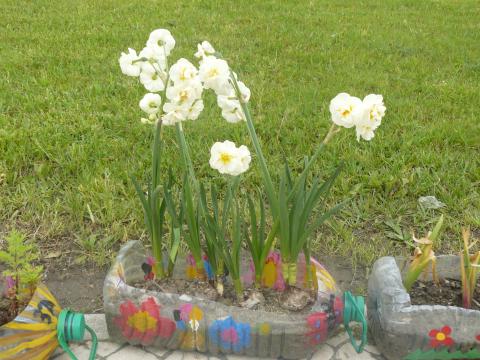 E um jardim cheio de flores, em vasos reciclados!