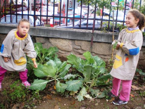 Crianças explorando legumes que ainda são do ano anterior.