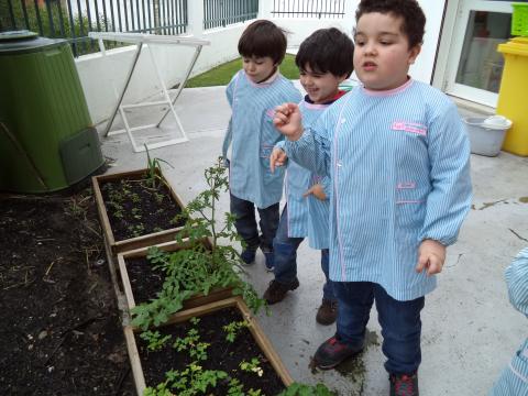 Os meninos estão a pensar o que semear na horta...