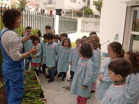 Estivemos a aprender como se plantam as alfaces!